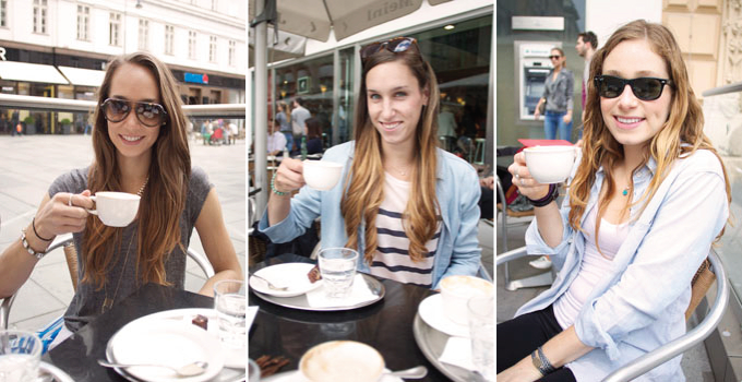 vienna3
