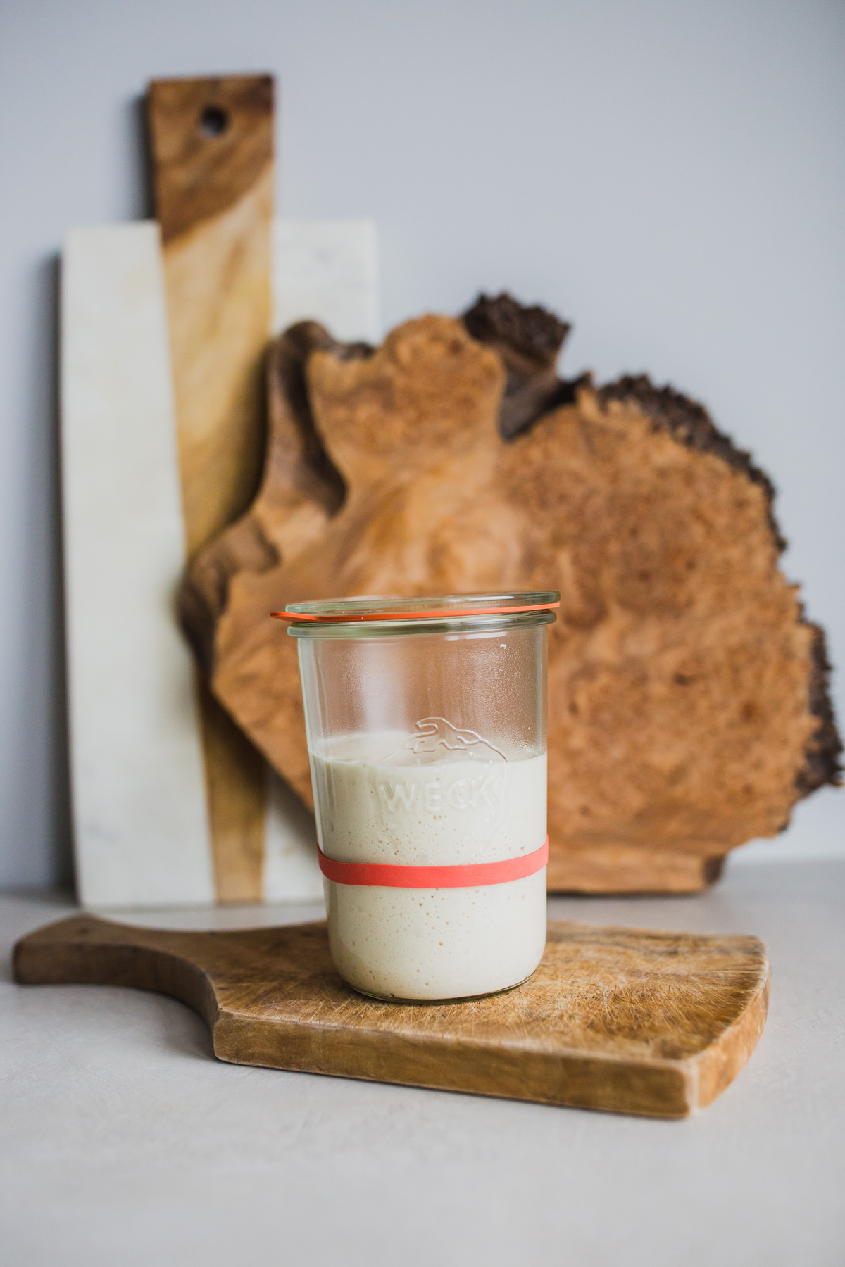 sourdough bread starter
